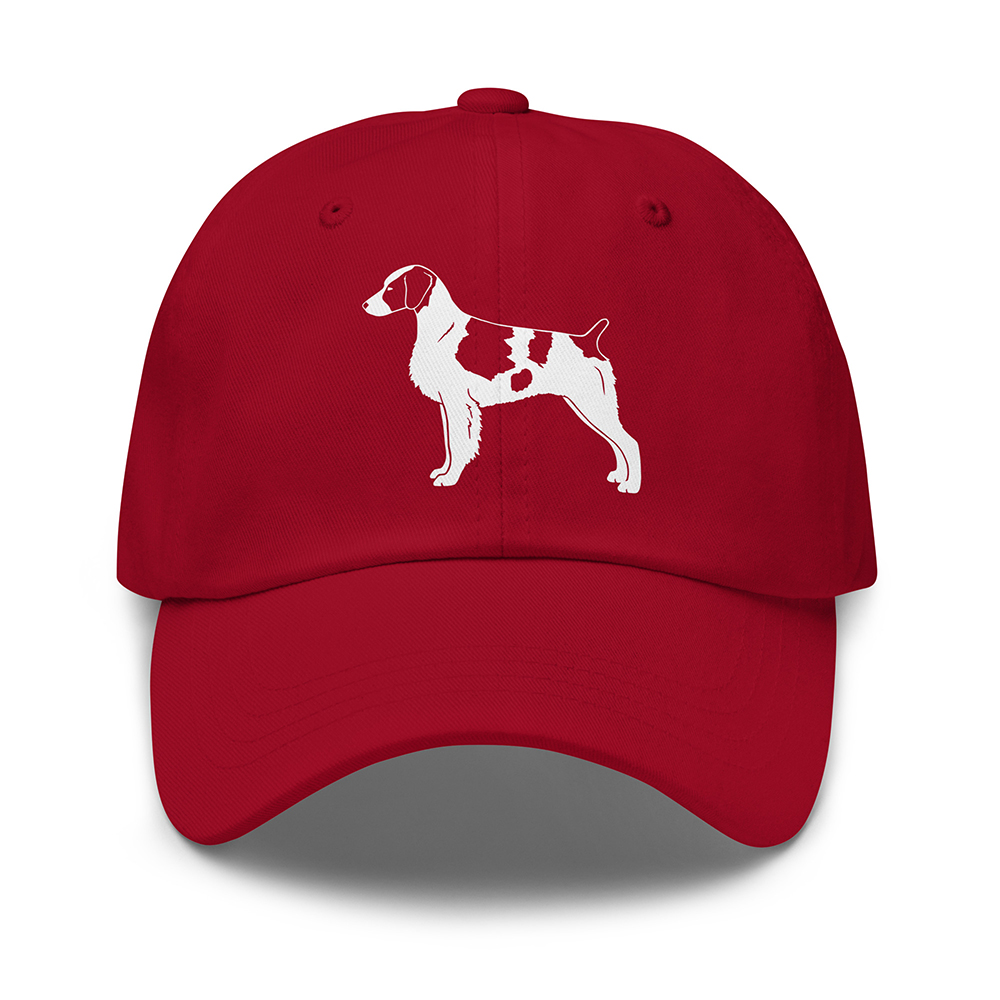 classic-dad-hat-cranberry-Breton 1048
