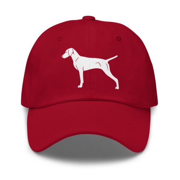 Keps ungersk vizsla, korthårig