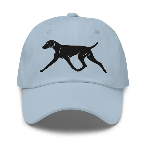 Keps ungersk vizsla, korthårig