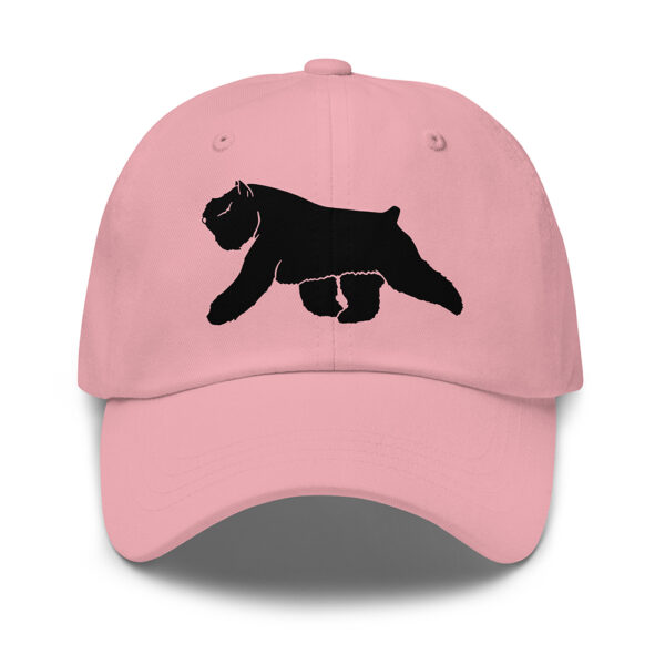 Cap Bouvier des Flandres