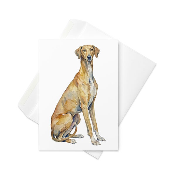 Vikt kort med azawakh