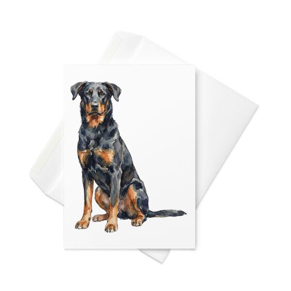 Vikt kort med beauceron