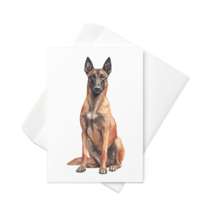 Vikt kort med belgisk vallhund malinois
