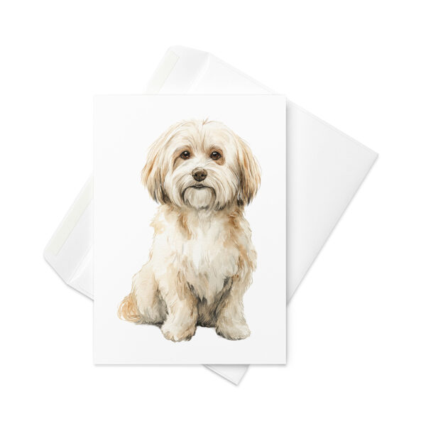 Vikt kort med bichon havanais