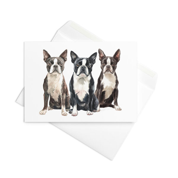 Vikt kort med bostonterrier