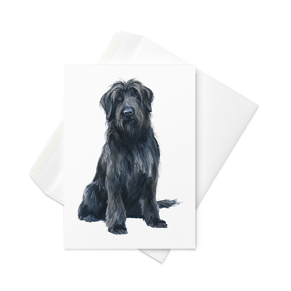 Vikt kort med briard