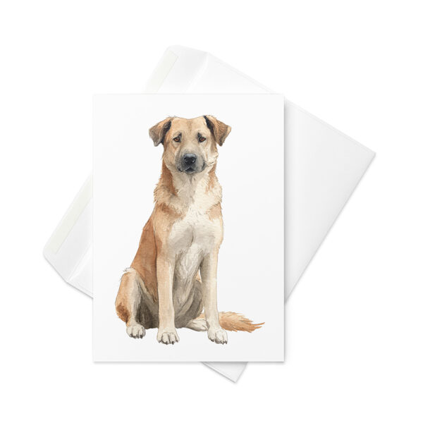 Vikt kort med chinook