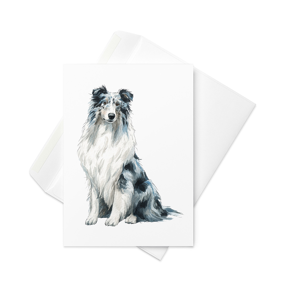 Vikt kort med långhårig collie