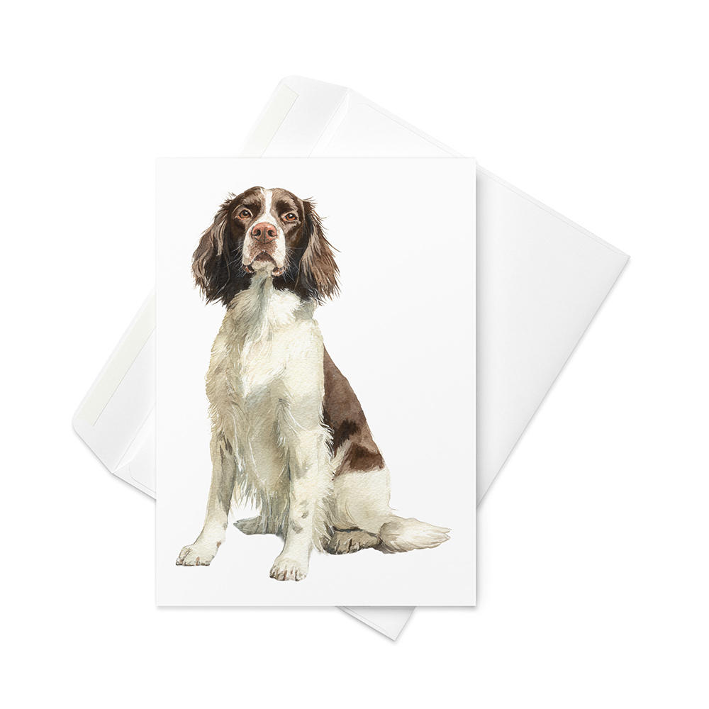 Vikt kort med engelsk springer spaniel