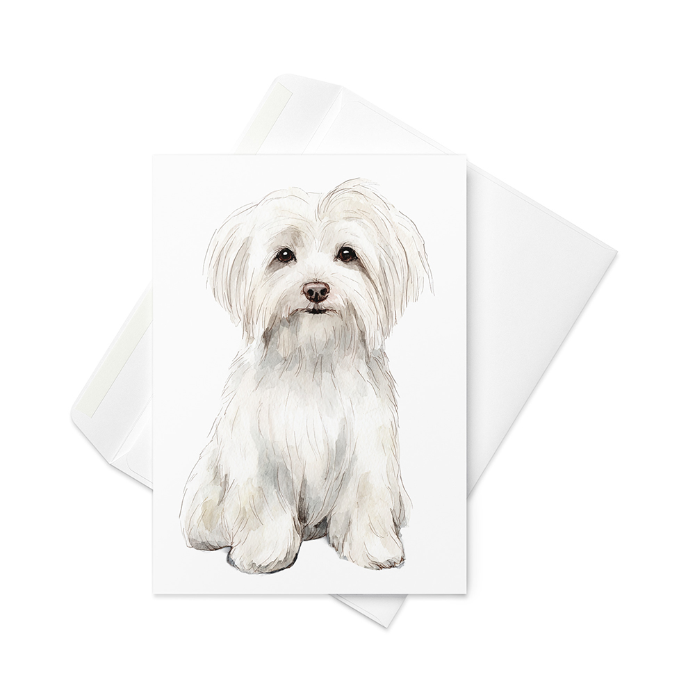 Vikt kort med malteser