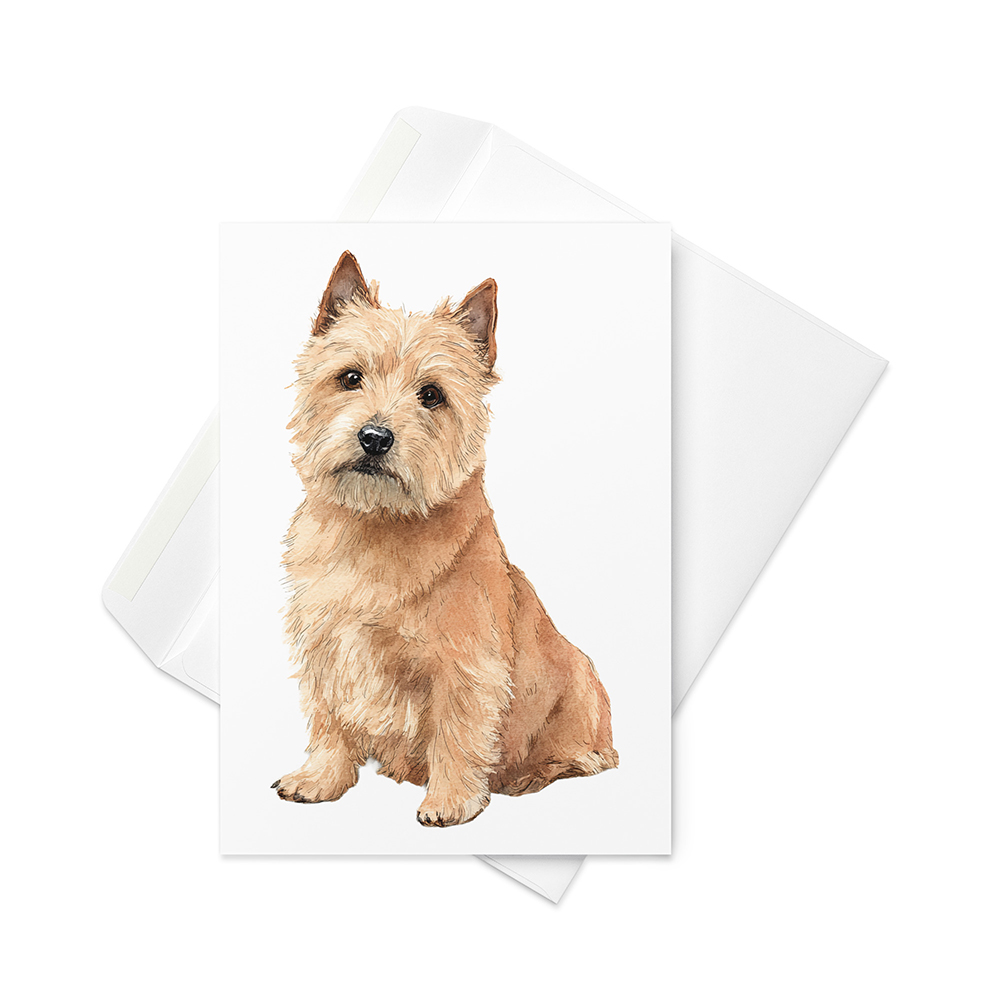 Vikt kort med norwichterrier