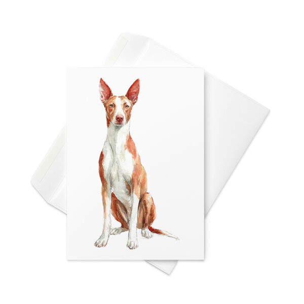 Vikt kort med podenco ibicenco