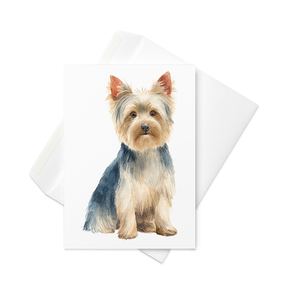 Vikt kort med silky terrier
