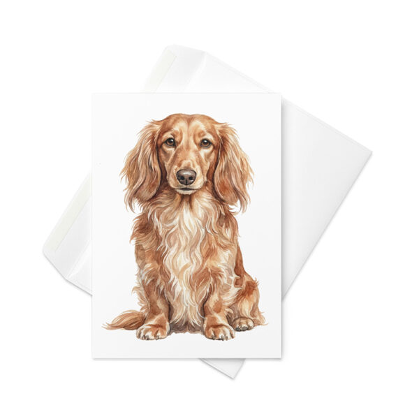 Vikt kort med långhårig tax