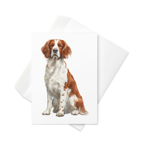 Vikt kort med welsh springer spaniel