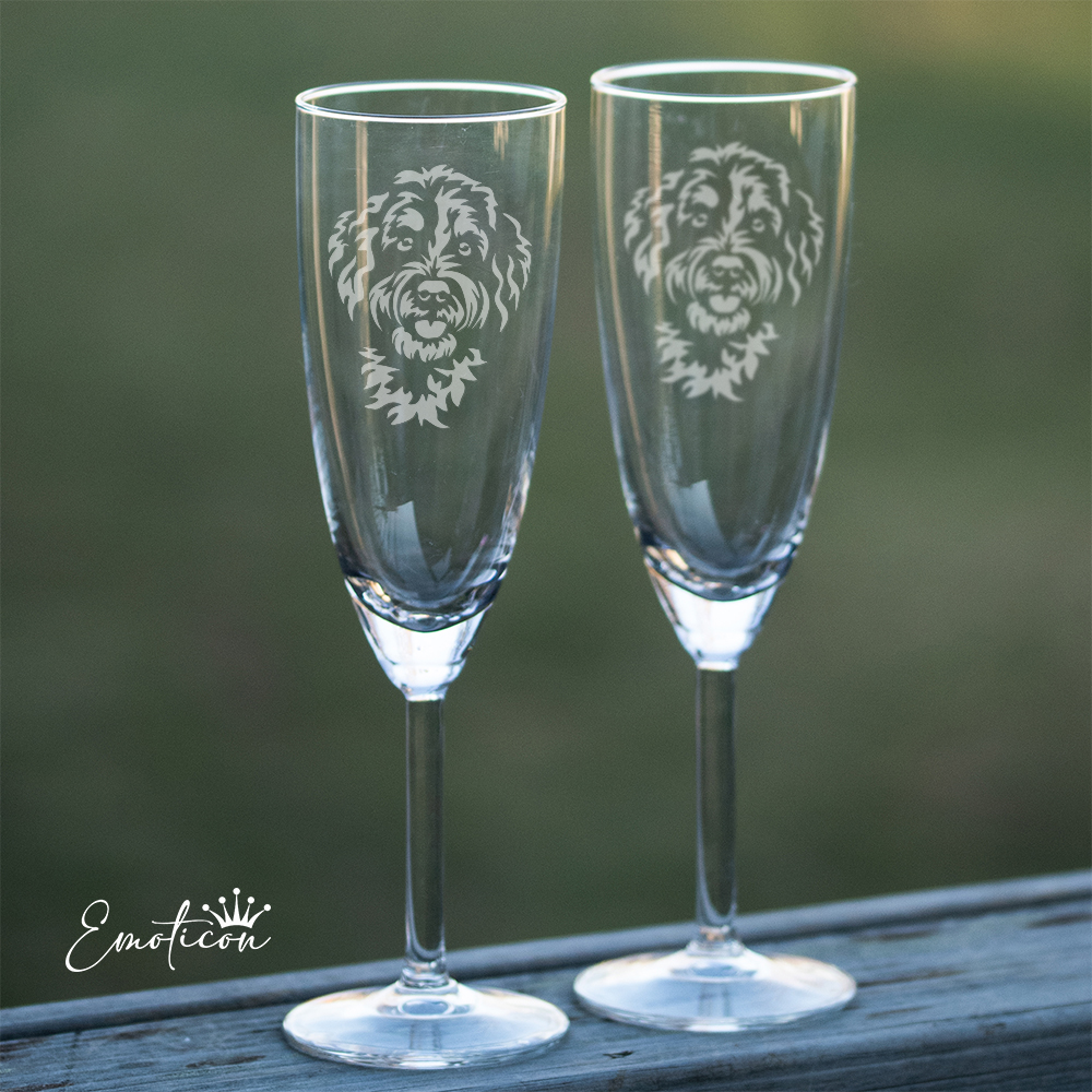Champagneglas bernedoodle