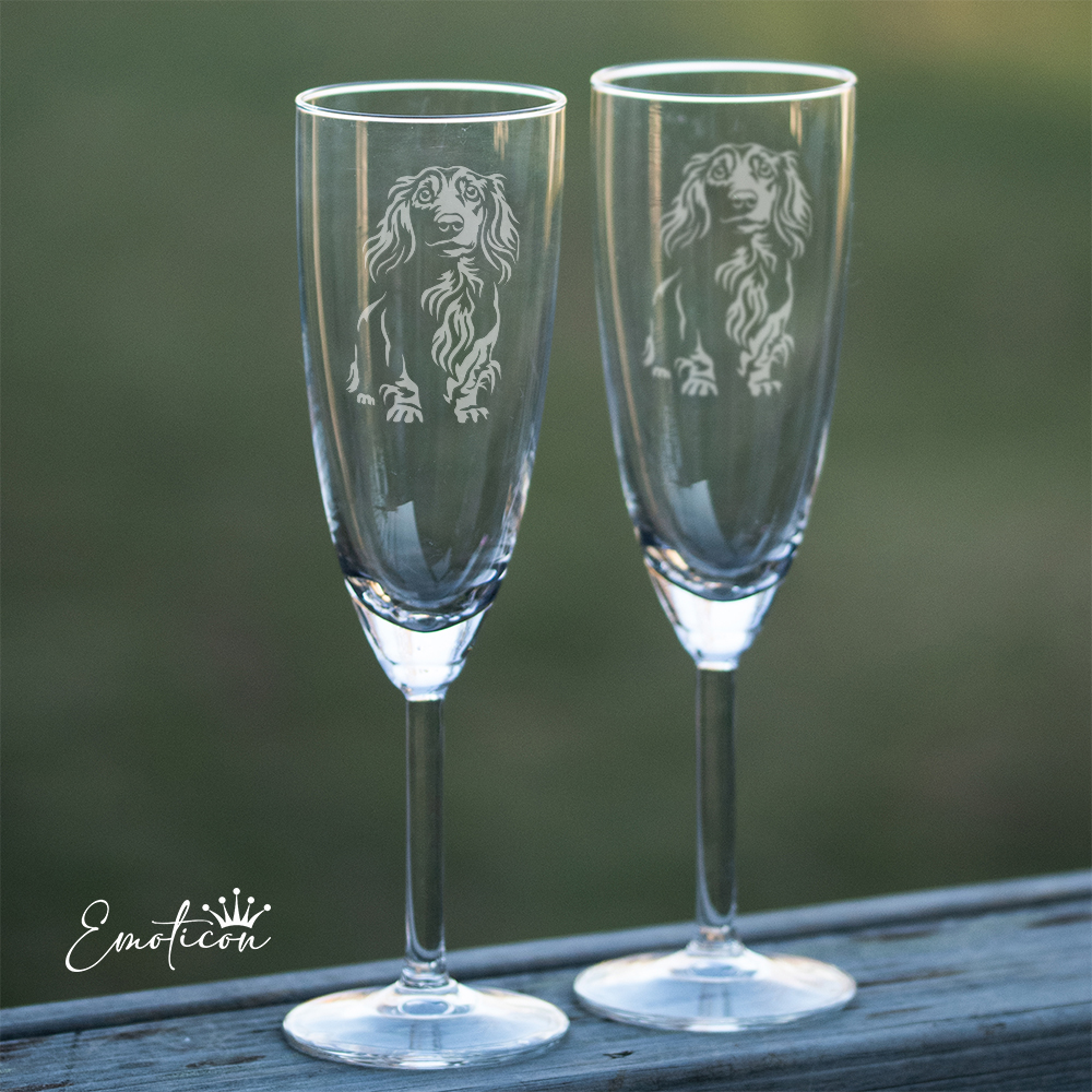 Champagneglas långhårig tax