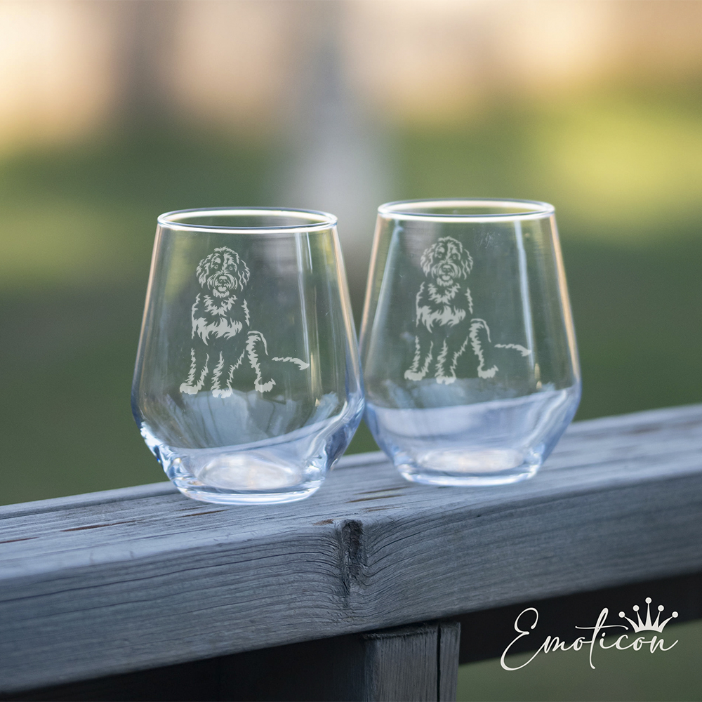 Glas bernedoodle