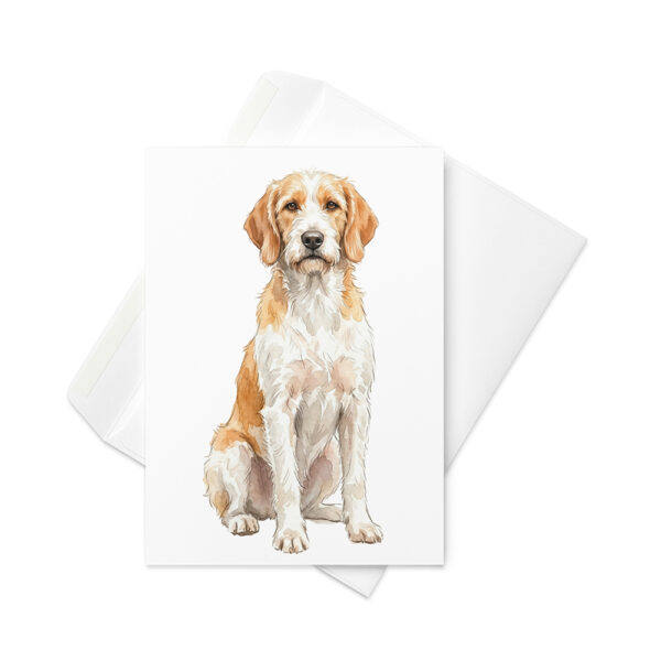 Vikt kort med istarski ostrodlaki gonic