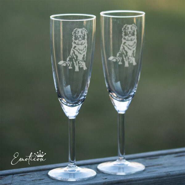 Champagneglas australian shepherd