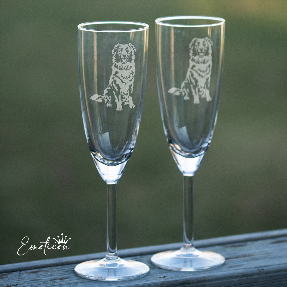 Champagneglas australian shepherd