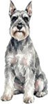 Schnauzer WC2839