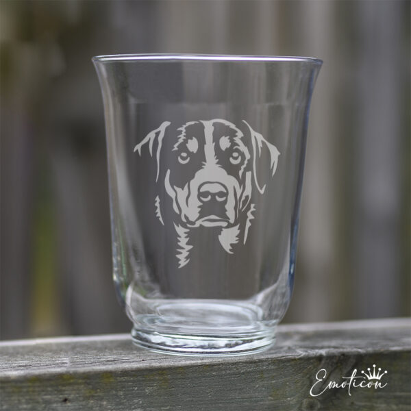 Vas/ljuslykta appenzeller sennenhund