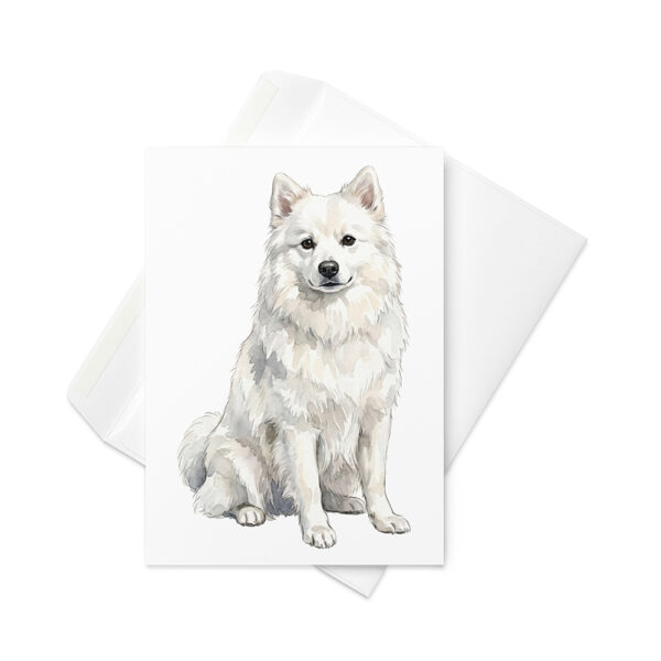 Vikt kort med american eskimo dog