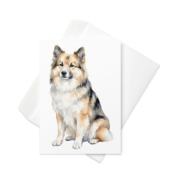 Vikt kort med isländsk fårhund