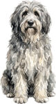 Bergamasco WC1397