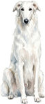 Borzoi WC1171