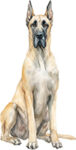 Great Dane WC1420
