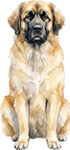 Leonberger WC1334
