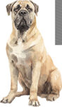 Mastiff WC1298