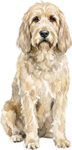 Otterhound WC1109