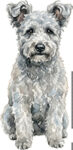 Pumi WC1137