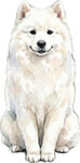 Samoyed WC1850
