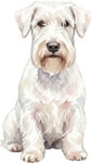 Sealyhamterrier WC1130