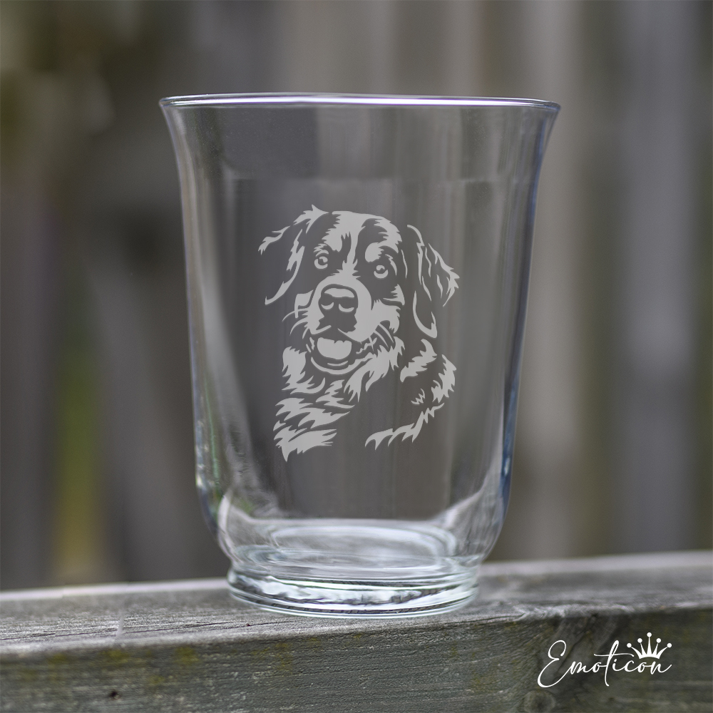 Vas/ljuslykta berner sennenhund