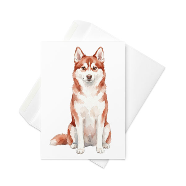 Vikt kort med alaskan klee kai