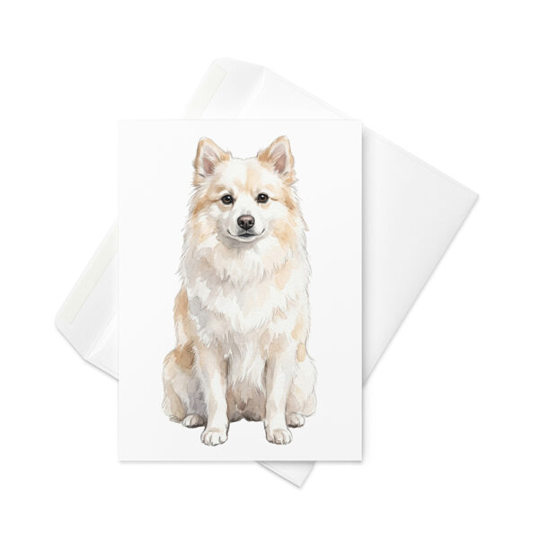 Vikt kort med american eskimo dog