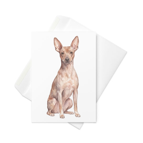 Vikt kort med american hairless terrier