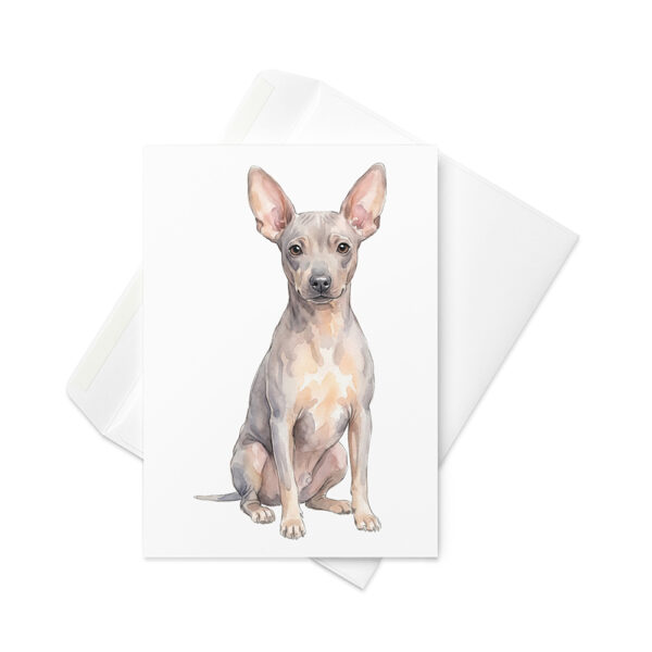 Vikt kort med american hairless terrier