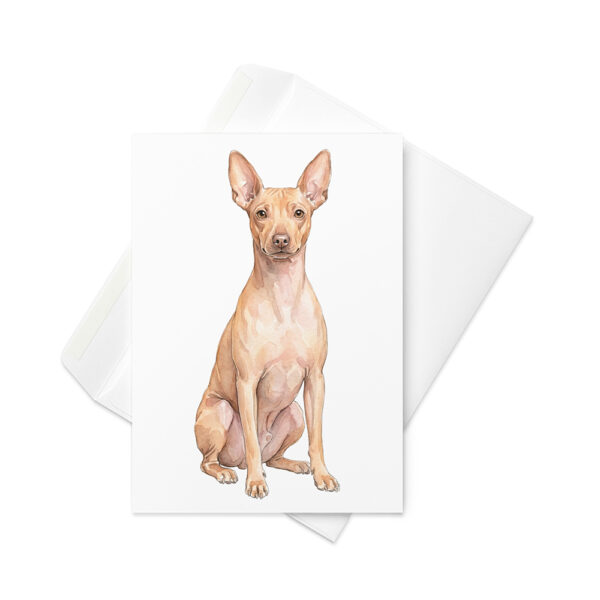 Vikt kort med american hairless terrier