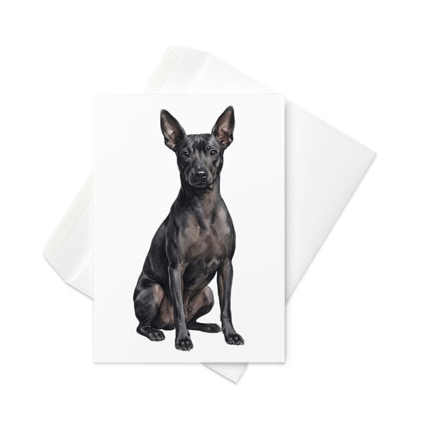 Vikt kort med american hairless terrier