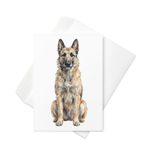 Vikt kort med belgisk vallhund laekenois