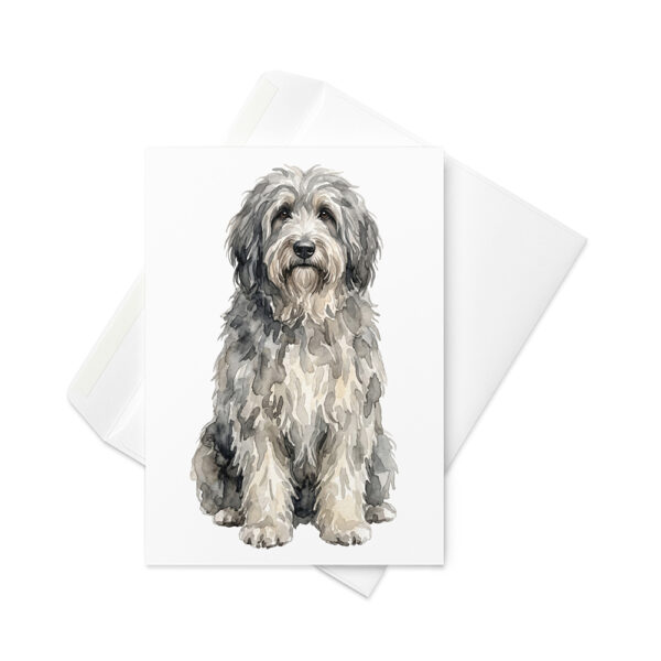 Vikt kort med bergamasco