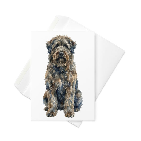Vikt kort med bouvier des flandres