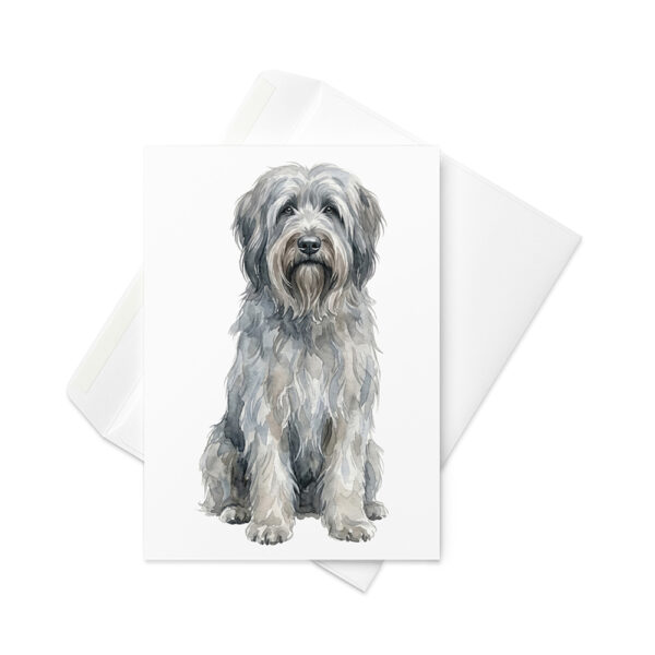 Vikt kort med briard