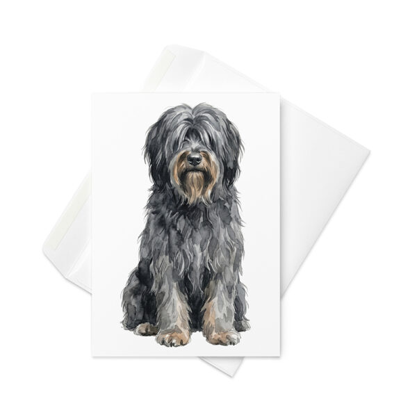Vikt kort med briard